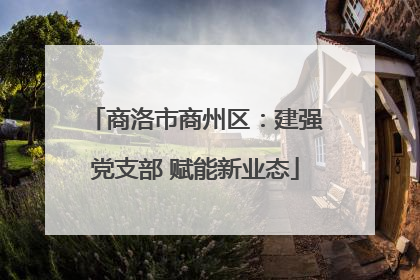 商洛市商州区：建强党支部 赋能新业态
