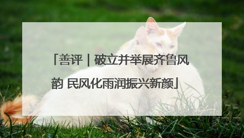 善评｜破立并举展齐鲁风韵 民风化雨润振兴新颜