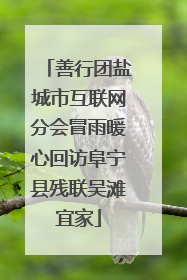 善行团盐城市互联网分会冒雨暖心回访阜宁县残联吴滩宜家