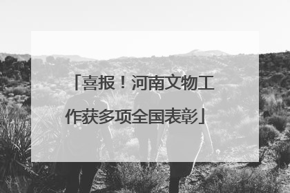 喜报！河南文物工作获多项全国表彰