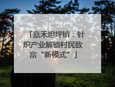 嘉禾坦坪镇：针织产业解锁村民致富“新模式”