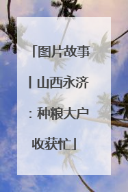 图片故事丨山西永济：种粮大户收获忙
