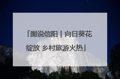 图说信阳｜向日葵花绽放 乡村旅游火热
