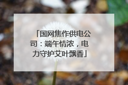 国网焦作供电公司：端午情浓，电力守护艾叶飘香