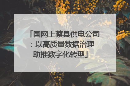 国网上蔡县供电公司：以高质量数据治理 助推数字化转型