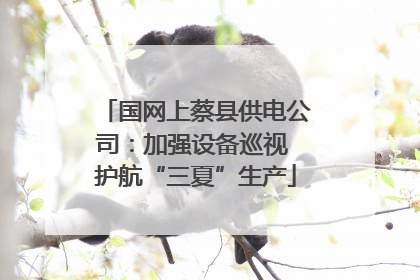 国网上蔡县供电公司：加强设备巡视 护航“三夏”生产