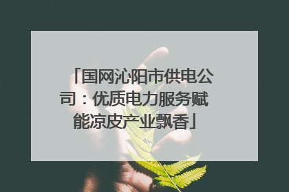 国网沁阳市供电公司：优质电力服务赋能凉皮产业飘香