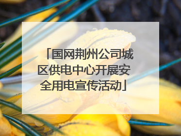国网荆州公司城区供电中心开展安全用电宣传活动
