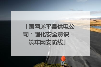 国网遂平县供电公司：强化安全意识 筑牢网安防线