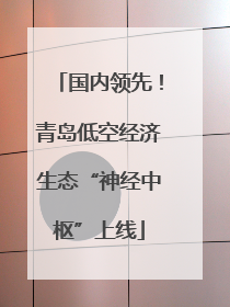 国内领先！青岛低空经济生态“神经中枢”上线