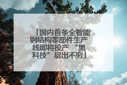 国内首条全智能钢结构零部件生产线即将投产 “黑科技”层出不穷