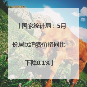 国家统计局：5月份居民消费价格同比下降0.1%