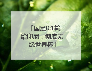 国足0:1输给印尼，彻底无缘世界杯