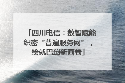 四川电信：数智赋能织密“普遍服务网”，绘就巴蜀新画卷