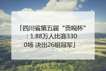 四川省第五届“贡嘎杯”：1.88万人比赛3300场 决出26组冠军