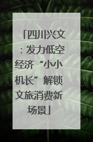 四川兴文：发力低空经济“小小机长”解锁文旅消费新场景