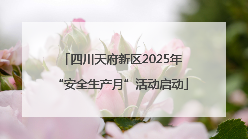 四川天府新区2025年“安全生产月”活动启动