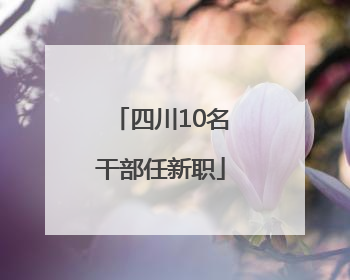 四川10名干部任新职