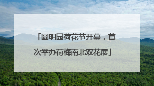 圆明园荷花节开幕，首次举办荷梅南北双花展