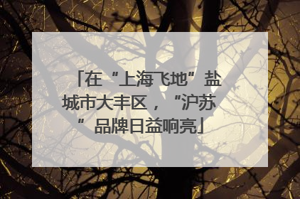 在“上海飞地”盐城市大丰区，“沪苏”品牌日益响亮