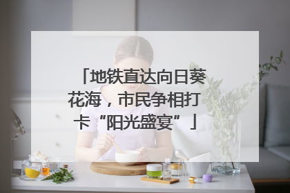 地铁直达向日葵花海，市民争相打卡“阳光盛宴”
