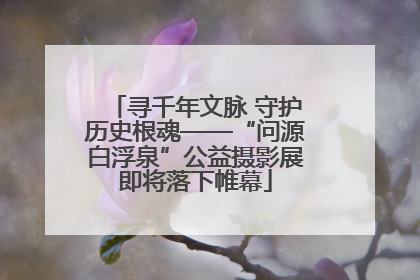寻千年文脉 守护历史根魂——“问源白浮泉”公益摄影展即将落下帷幕