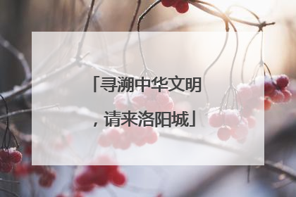 寻溯中华文明，请来洛阳城