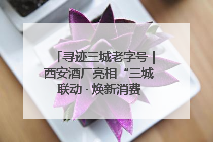 寻迹三城老字号｜西安酒厂亮相“三城联动 · 焕新消费”老字号嘉年华 共话品牌传承与创新