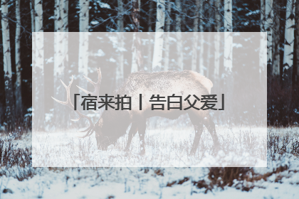 宿来拍丨告白父爱