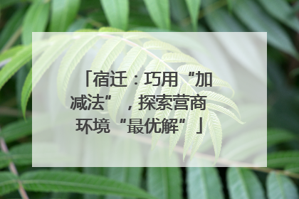 宿迁：巧用“加减法”，探索营商环境“最优解”