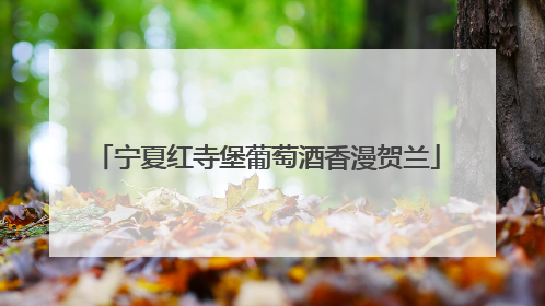 宁夏红寺堡葡萄酒香漫贺兰
