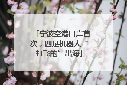 宁波空港口岸首次，四足机器人“打飞的”出海