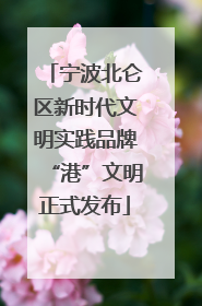 宁波北仑区新时代文明实践品牌“港”文明正式发布