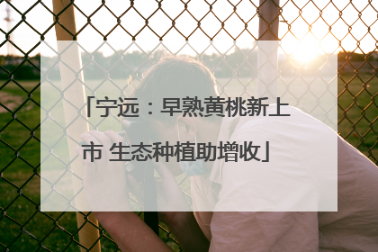 宁远：早熟黄桃新上市 生态种植助增收