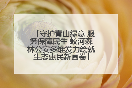 守护青山绿意 服务保障民生 蛟河森林公安多维发力绘就生态惠民新画卷
