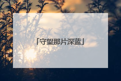 守望那片深蓝