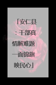 安仁县：干部真情解难题一面锦旗映民心