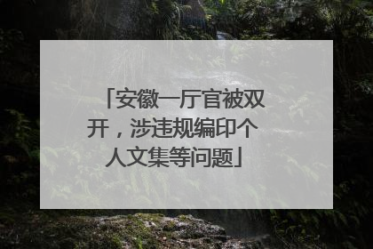 安徽一厅官被双开，涉违规编印个人文集等问题