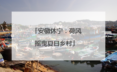 安徽休宁：荷风摇曳夏日乡村