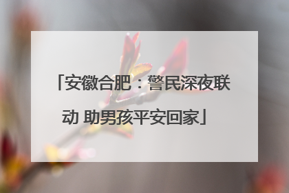安徽合肥：警民深夜联动 助男孩平安回家