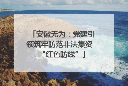 安徽无为：党建引领筑牢防范非法集资“红色防线”