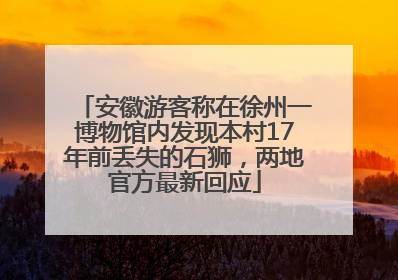 安徽游客称在徐州一博物馆内发现本村17年前丢失的石狮，两地官方最新回应