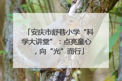 安庆市舒巷小学“科学大讲堂”：点亮童心，向“光”而行