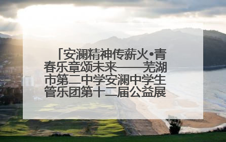 安澜精神传薪火•青春乐章颂未来——芜湖市第二中学安澜中学生管乐团第十二届公益展演圆满举行