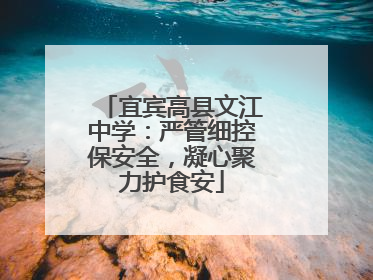 宜宾高县文江中学：严管细控保安全，凝心聚力护食安