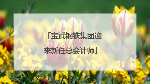 宝武钢铁集团迎来新任总会计师