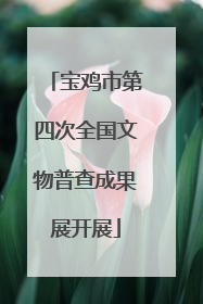 宝鸡市第四次全国文物普查成果展开展