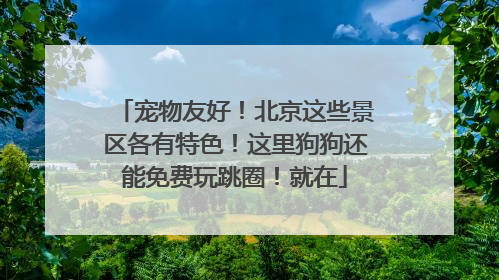 宠物友好！北京这些景区各有特色！这里狗狗还能免费玩跳圈！就在
