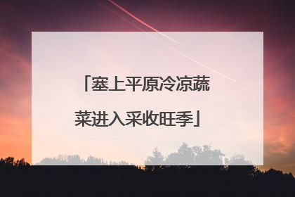 塞上平原冷凉蔬菜进入采收旺季