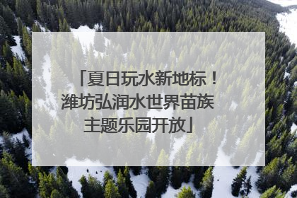夏日玩水新地标！潍坊弘润水世界苗族主题乐园开放